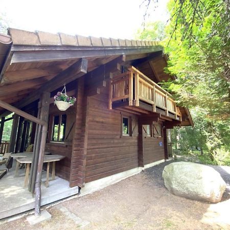 Le Renard Chalet En Bois La Bresse Bagian luar foto