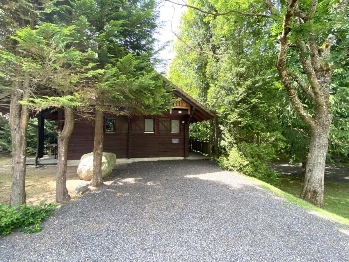 Le Renard Chalet En Bois La Bresse Bagian luar foto